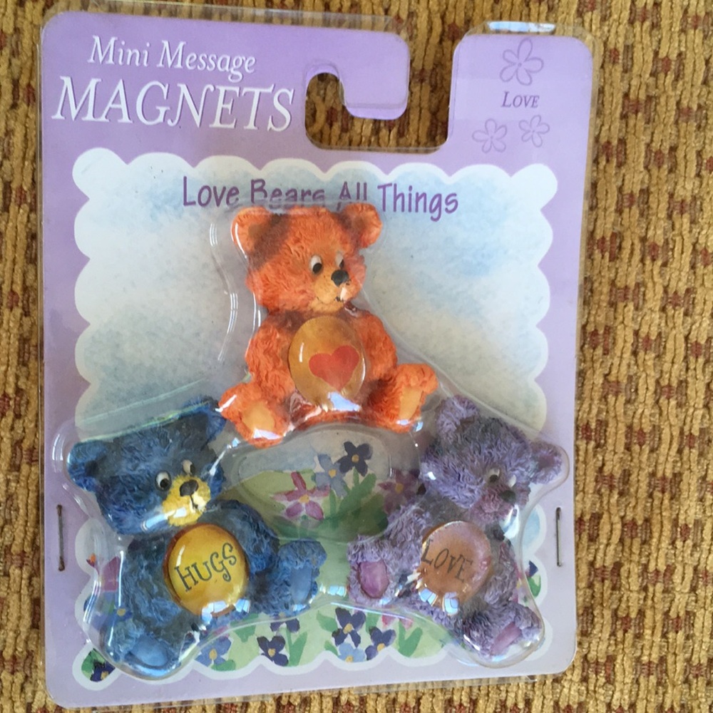 Bear magnets